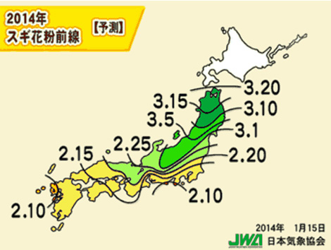 もり耳鼻咽喉科 花粉症初期療法